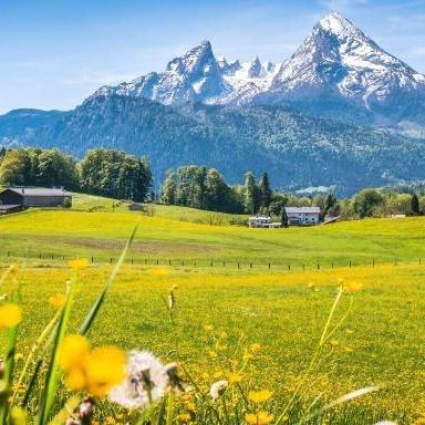 آهنگ جدید  شیرین بتمنی انساک (ترند اینستا)