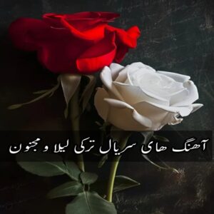 دانلود آهنگ های سریال ترکی لیلا و مجنون