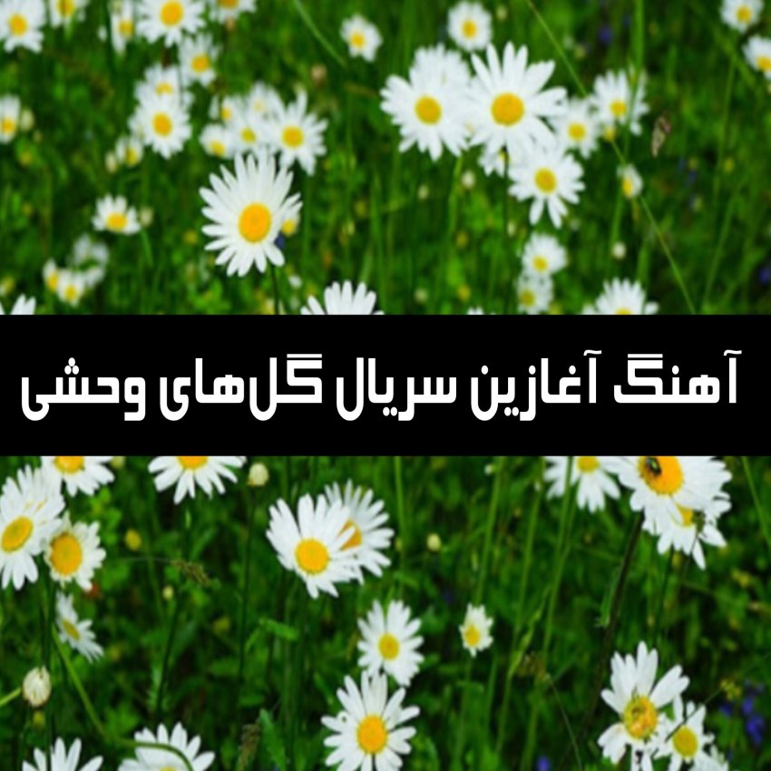 دانلود آهنگ آغازین سریال گل‌های وحشی (Yaban Çiçekleri)