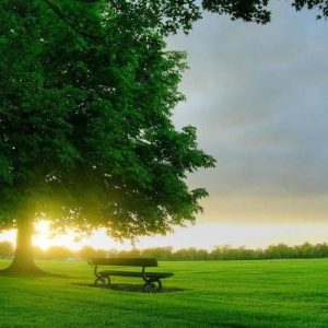 دانلود آهنگ جدید رئوف و فایک لالایی колыбельная