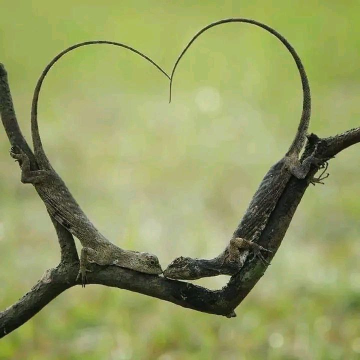 آهنگ جدید میا پلیز فرام