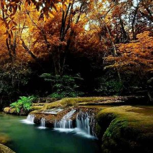 دانلود آهنگ جدید یوکسون بو کالبی یاکسام + ریمیکس