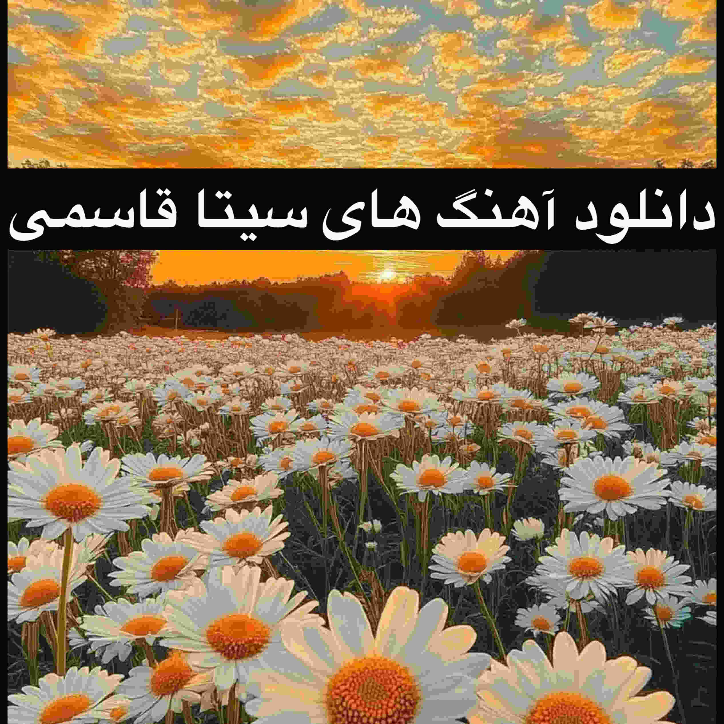 دانلود تمام آهنگ های قدیمی و جدید سیتا قاسمی