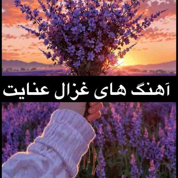 دانلود اهنگ های غزال عنایت تکی و یکجا