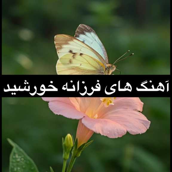 دانلود آهنگ های فرزانه خورشید + یکجا و تکی