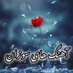دانلود آهنگ های جدید فرانسوی Suzane
