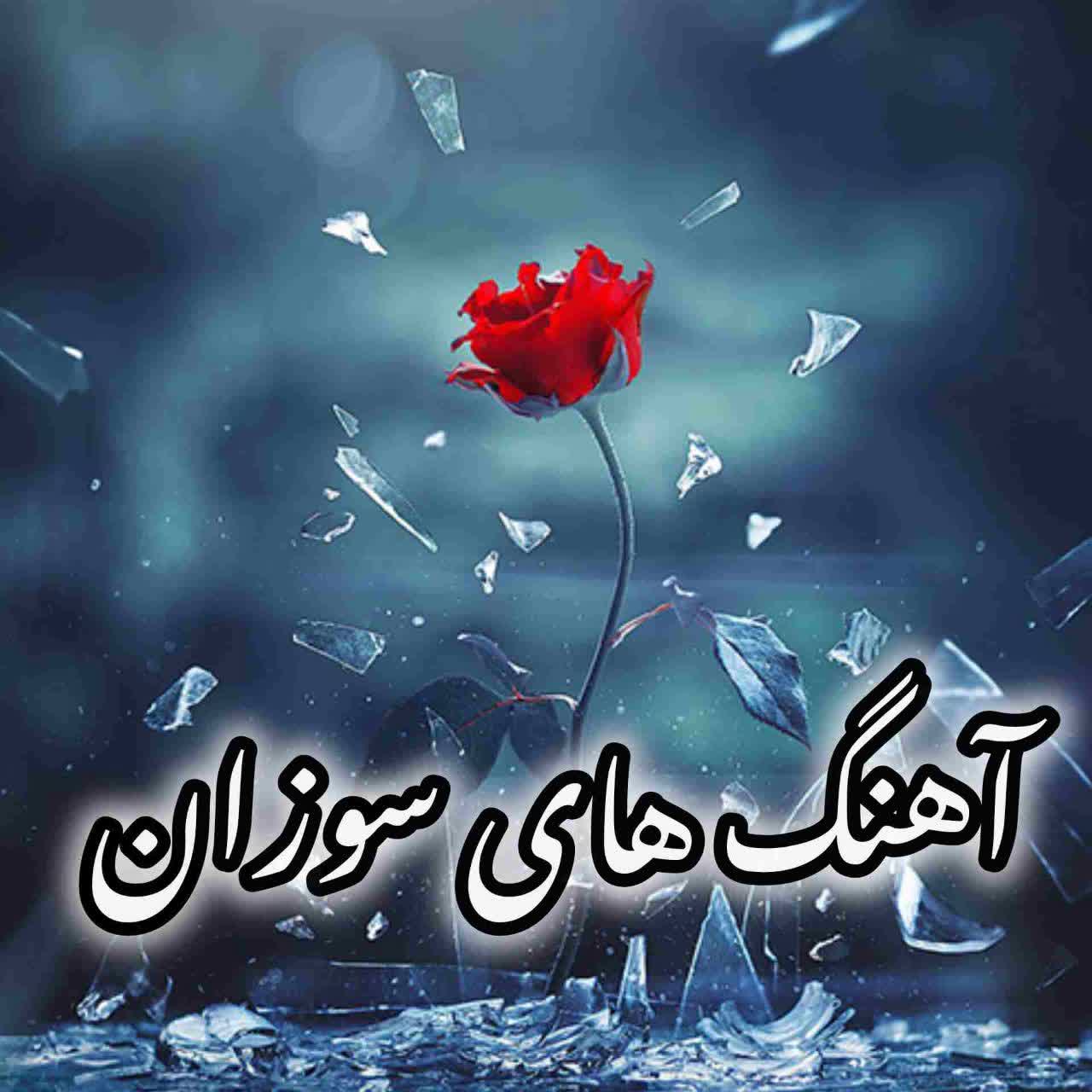 دانلود آهنگ های جدید فرانسوی Suzane