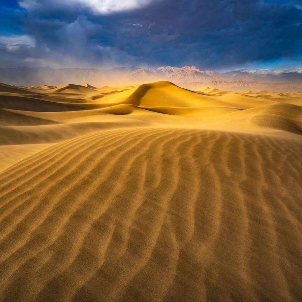 آهنگ جدید ADAM Zhurek
