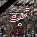دانلود ریمیکس جدید حمیدرضا ۳۸۸