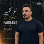 دانلود آهنگ جدید فرهنگ ملکی تو گلی گلم ارا چیه گل و جمالت